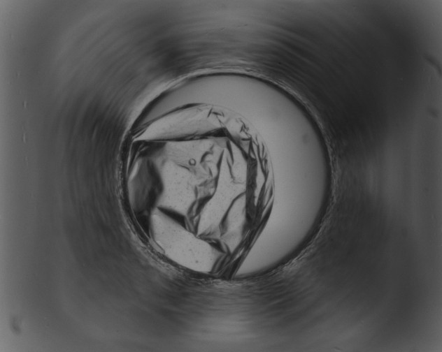 X0000103241085200809251322