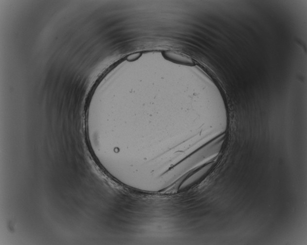 X0000103241088200809251322