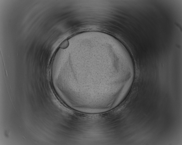 X0000103241090200809251322