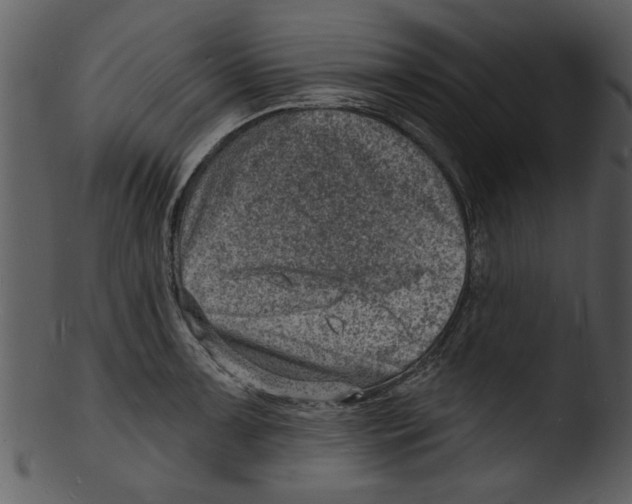 X0000103241091200809251322