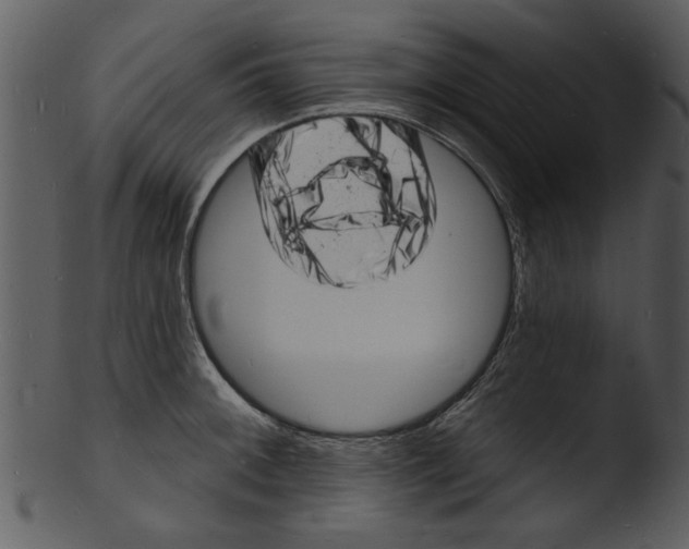 X0000103241092200809251322