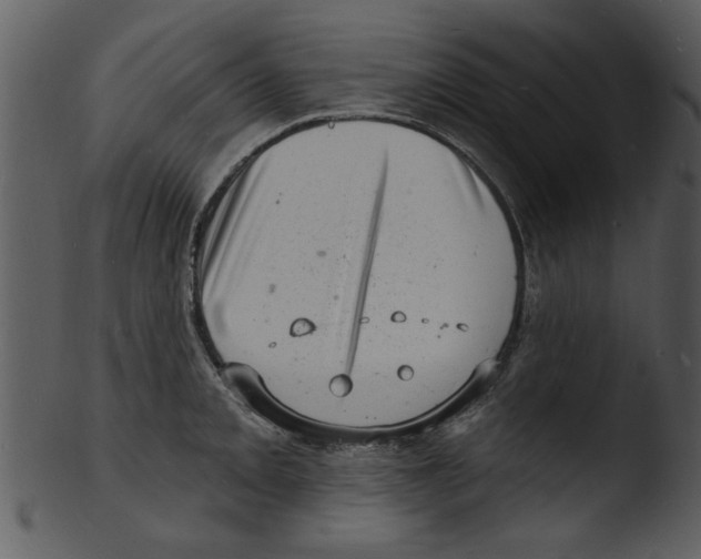 X0000103241093200809251322