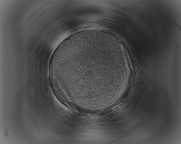 X0000103241095200809251322