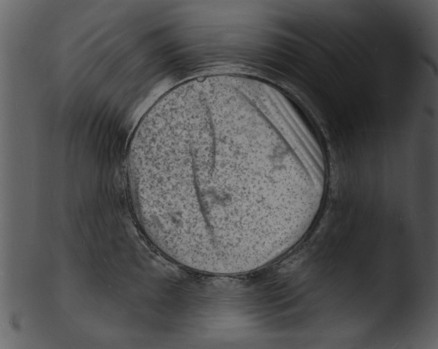 X0000103241097200809251322