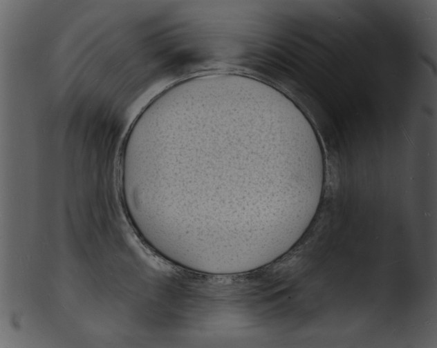 X0000103241098200809251322