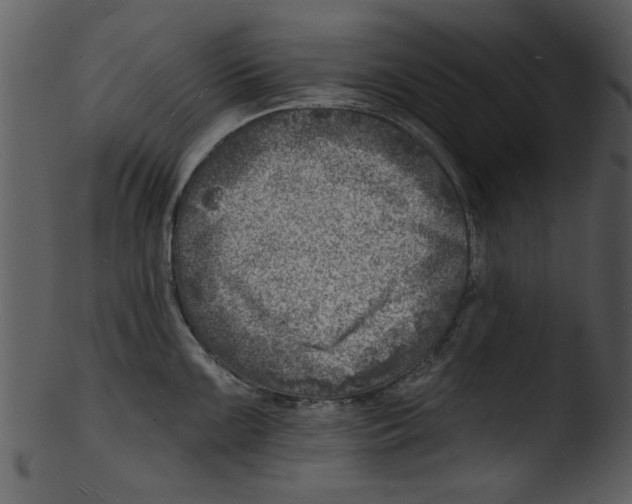 X0000103241099200809251322