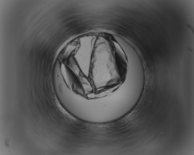 X0000103241100200809251322