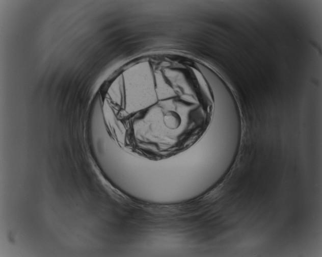 X0000103241101200809251322