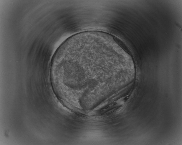 X0000103241102200809251322