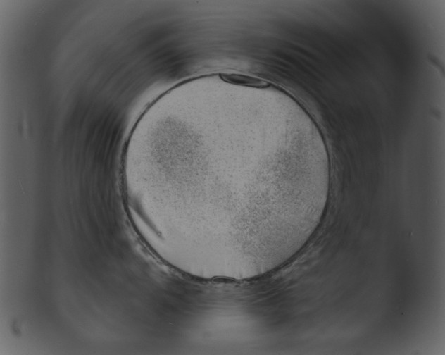 X0000103241104200809251321