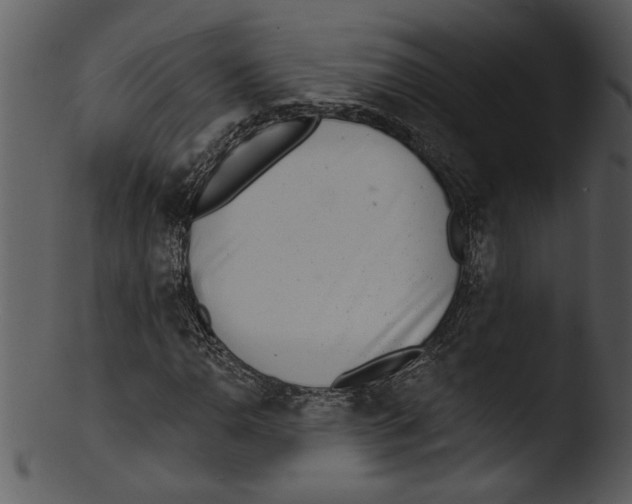 X0000103241110200809251321