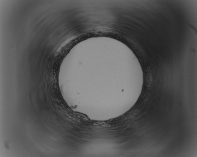 X0000103241112200809251321