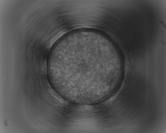 X0000103241113200809251321