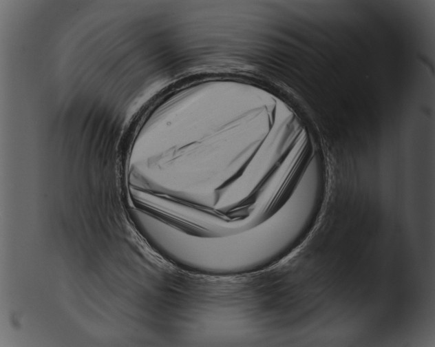 X0000103241114200809251321