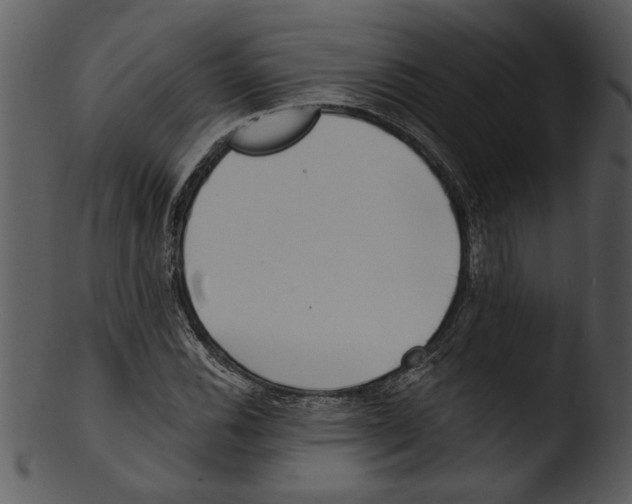 X0000103241116200809251321