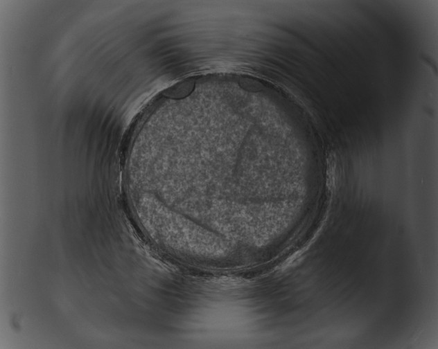 X0000103241117200809251321