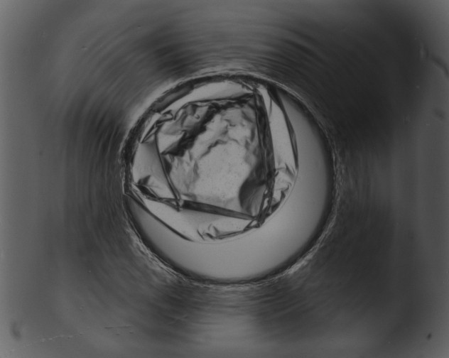 X0000103241118200809251321