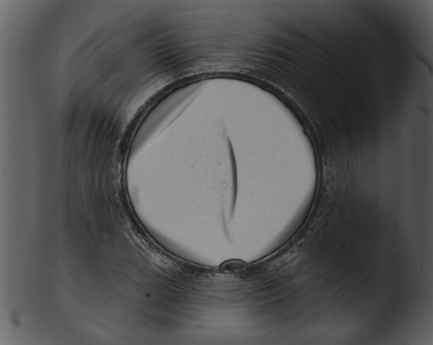 X0000103241119200809251321