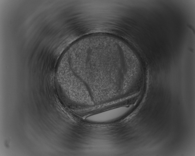 X0000103241121200809251321