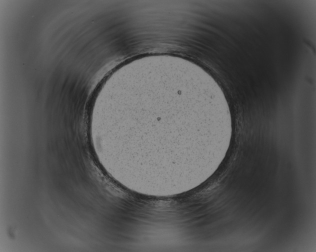 X0000103241122200809251321