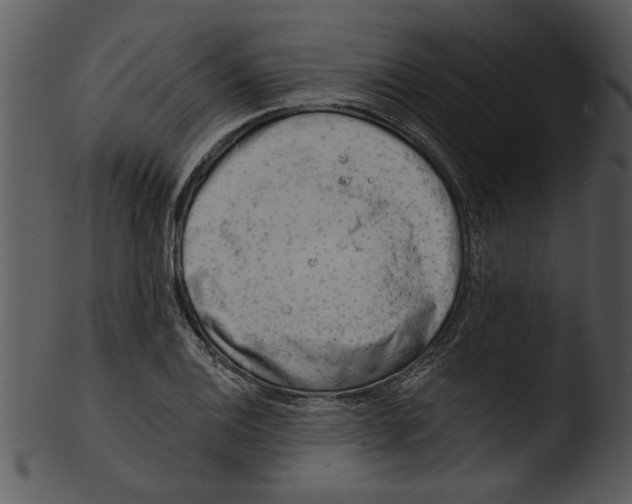 X0000103241124200809251321