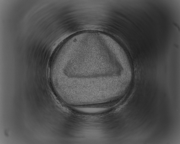 X0000103241125200809251321