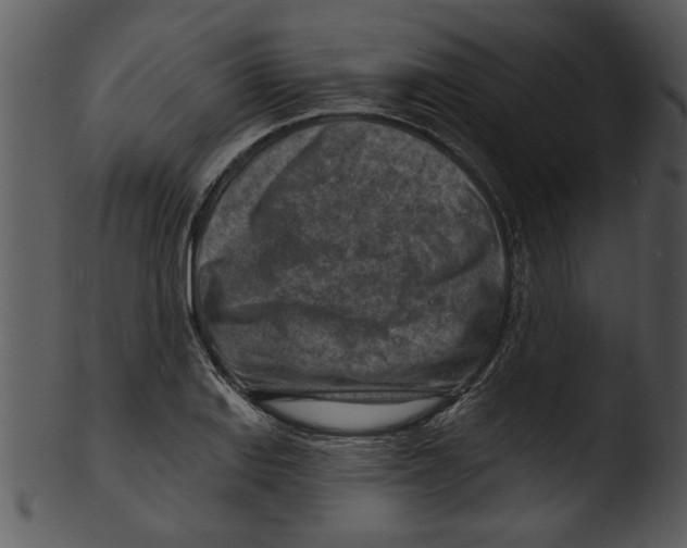 X0000103241127200809251321