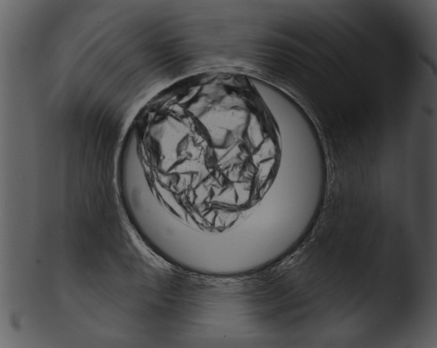 X0000103241128200809251321