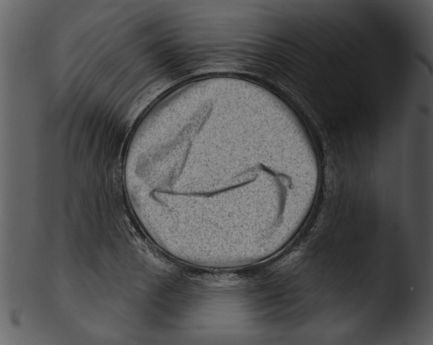 X0000103241129200809251321