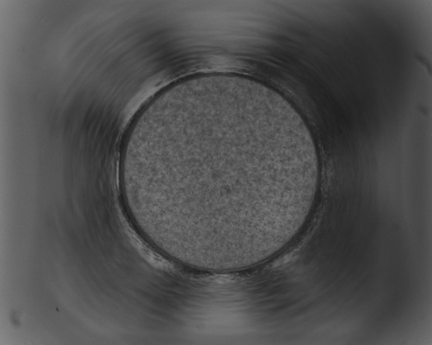 X0000103241130200809251321