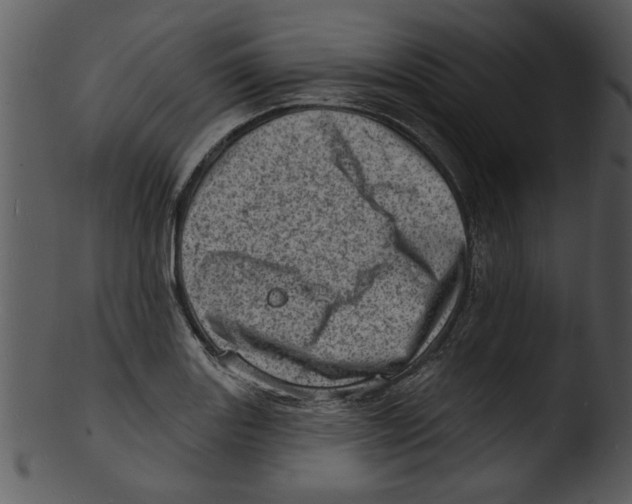 X0000103241131200809251321