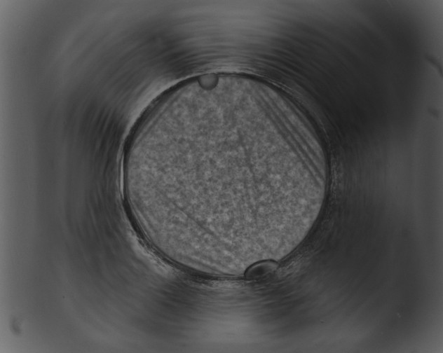 X0000103241132200809251321