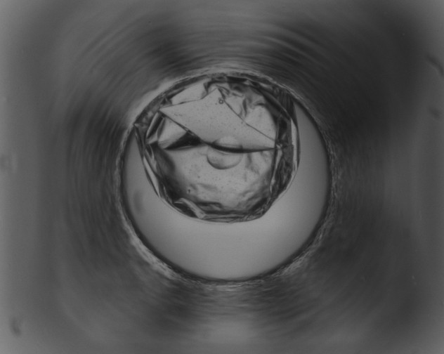 X0000103241134200809251321