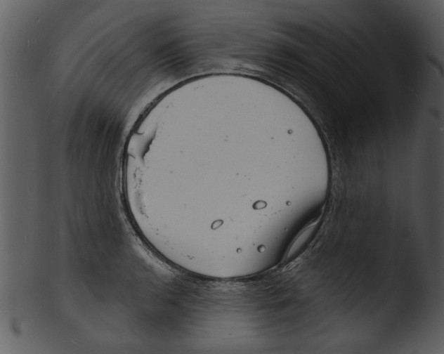 X0000103241136200809251321