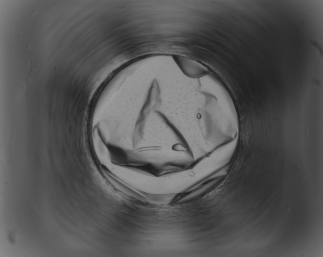 X0000103241139200809251321