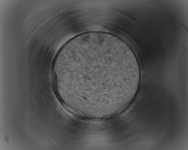 X0000103241141200809251321