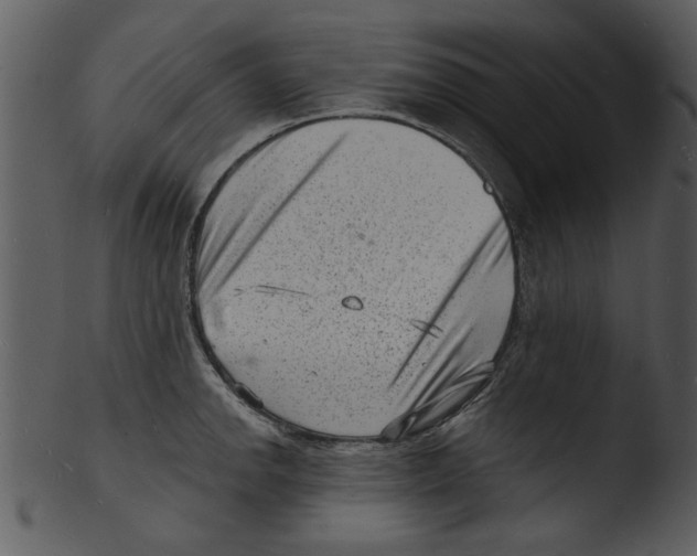 X0000103241142200809251321