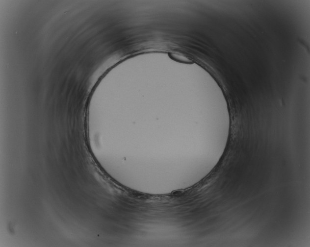 X0000103241146200809251321