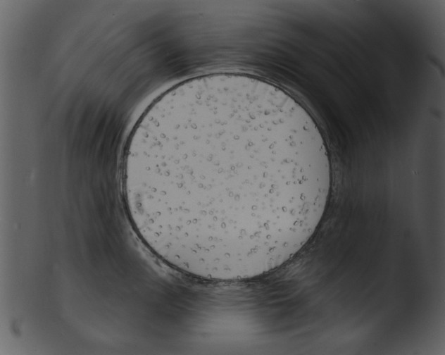 X0000103241148200809251321