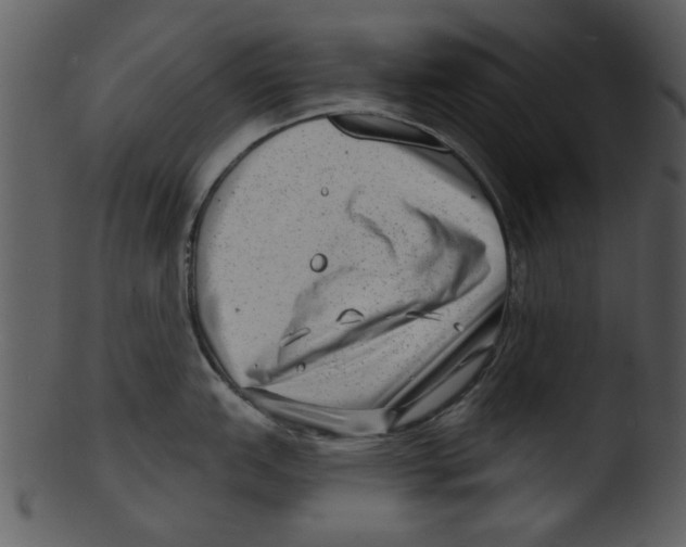 X0000103241151200809251321