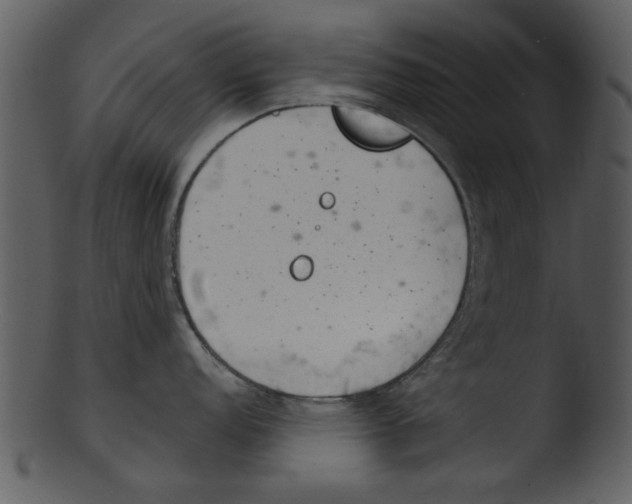 X0000103241152200809251321