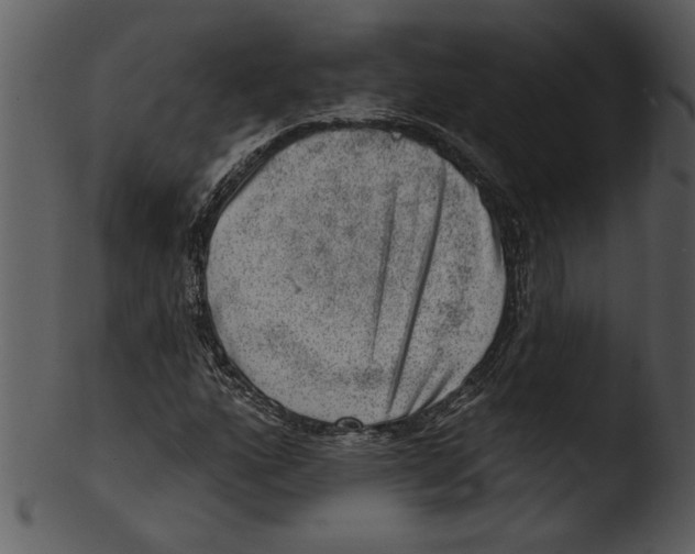 X0000103241160200809251321