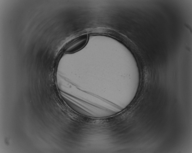 X0000103241166200809251320