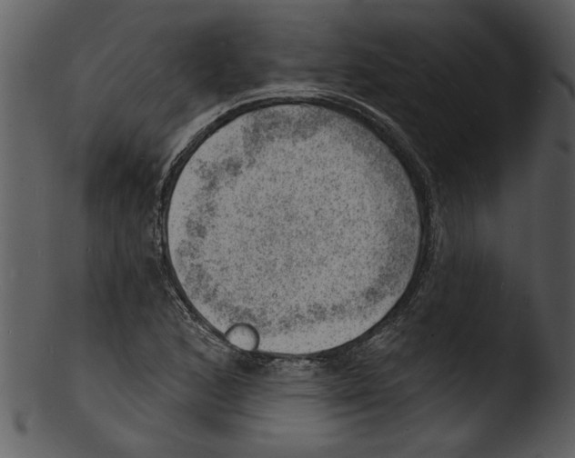 X0000103241168200809251320