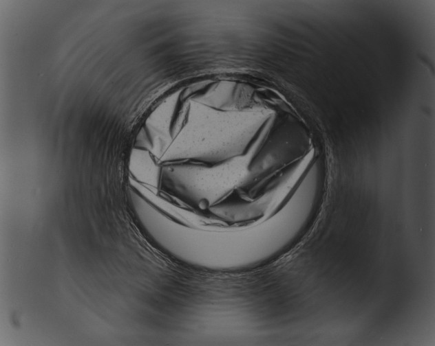 X0000103241169200809251320