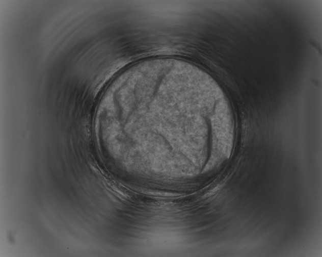 X0000103241170200809251320