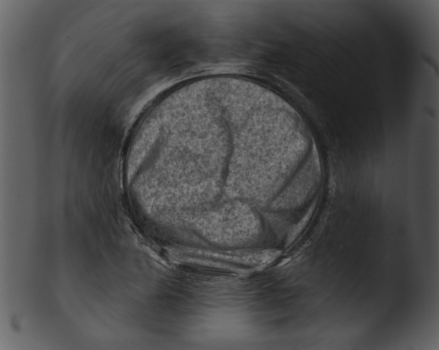 X0000103241174200809251320