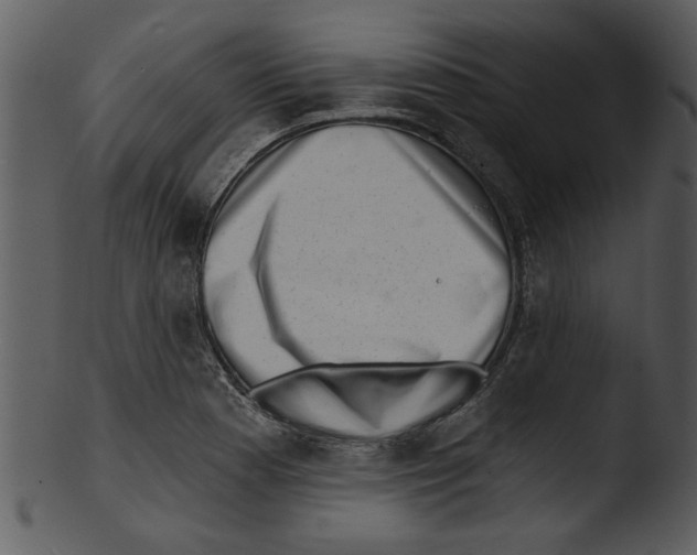 X0000103241177200809251320