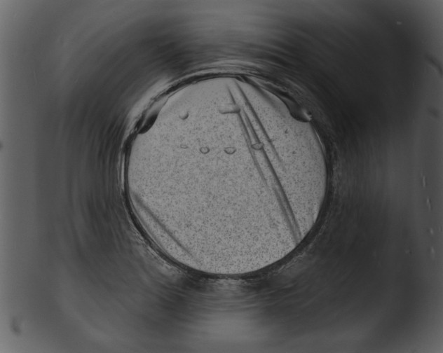 X0000103241180200809251320