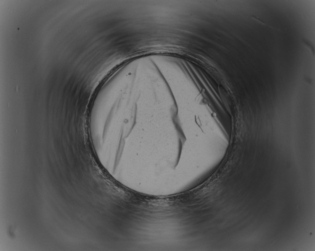 X0000103241182200809251320